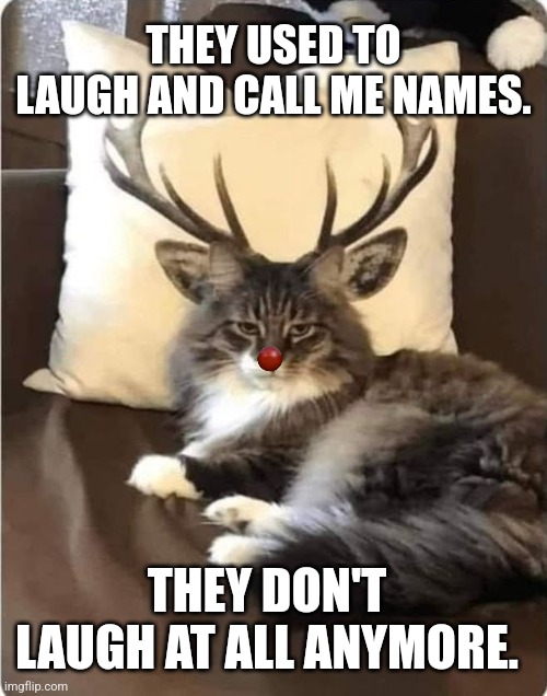 Rudolph | THEY USED TO LAUGH AND CALL ME NAMES. THEY DON'T LAUGH AT ALL ANYMORE. | image tagged in cats | made w/ Imgflip meme maker