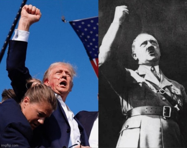 Hitler and Donald Trump | image tagged in hitler and donald trump | made w/ Imgflip meme maker