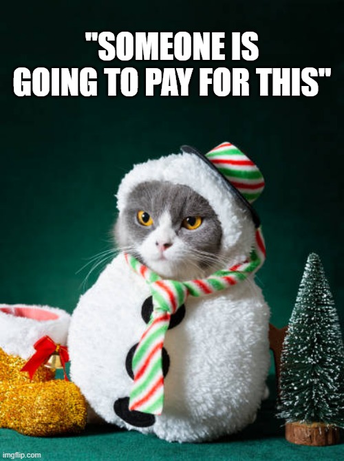 memes by Brad - Cat hates the Christmas costume that she is forced to wear | "SOMEONE IS GOING TO PAY FOR THIS" | image tagged in kittens,cats,costumes,christmas,santa claus,snowman | made w/ Imgflip meme maker