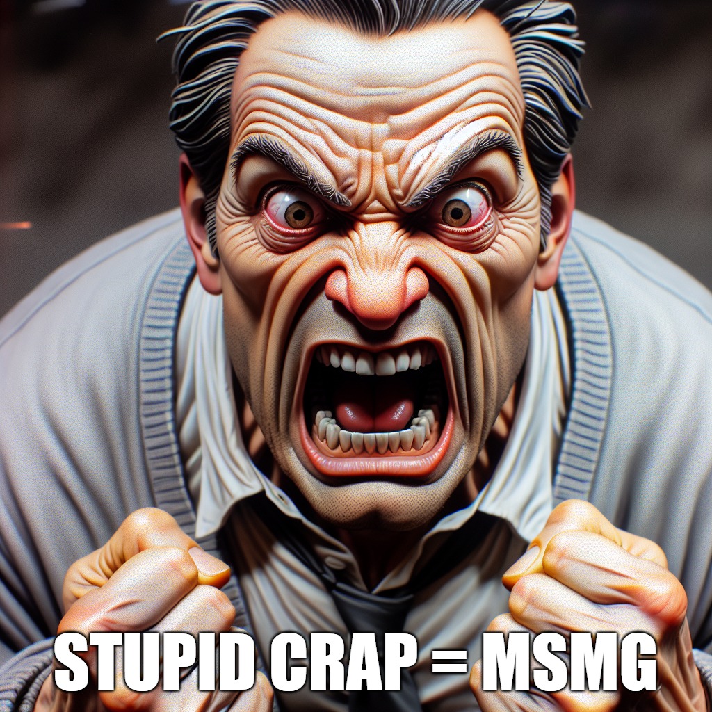 STUPID CRAP = MSMG | made w/ Imgflip meme maker