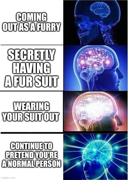 Hai | COMING OUT AS A FURRY; SECRETLY HAVING A FUR SUIT; WEARING YOUR SUIT OUT; CONTINUE TO PRETEND YOU'RE A NORMAL PERSON | image tagged in memes,expanding brain | made w/ Imgflip meme maker