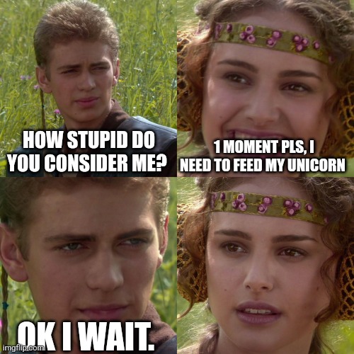 How stupid | HOW STUPID DO YOU CONSIDER ME? 1 MOMENT PLS, I NEED TO FEED MY UNICORN; OK I WAIT. | image tagged in anakin padme 4 panel | made w/ Imgflip meme maker