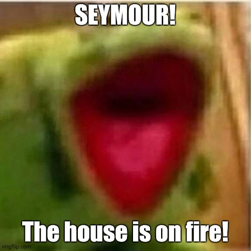 AHHHHHHHHHHHHH | SEYMOUR! The house is on fire! | image tagged in ahhhhhhhhhhhhh | made w/ Imgflip meme maker