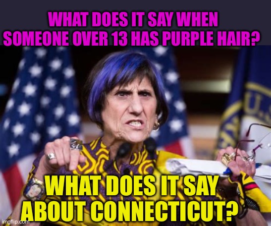 Time and a place for purple hair. Not in the House, not on an 81yo. | WHAT DOES IT SAY WHEN SOMEONE OVER 13 HAS PURPLE HAIR? WHAT DOES IT SAY ABOUT CONNECTICUT? | image tagged in gifs,democrat,congress,purple,funny haircut | made w/ Imgflip meme maker