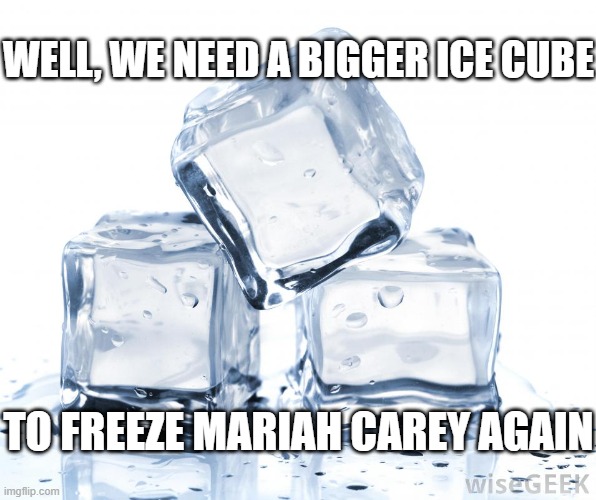 Today's Christmas Eve, let's make a mission to capture Mariah Carey and save Christmas | WELL, WE NEED A BIGGER ICE CUBE; TO FREEZE MARIAH CAREY AGAIN | image tagged in funny,memes,christmas,all i want for christmas is you,mariah carey | made w/ Imgflip meme maker