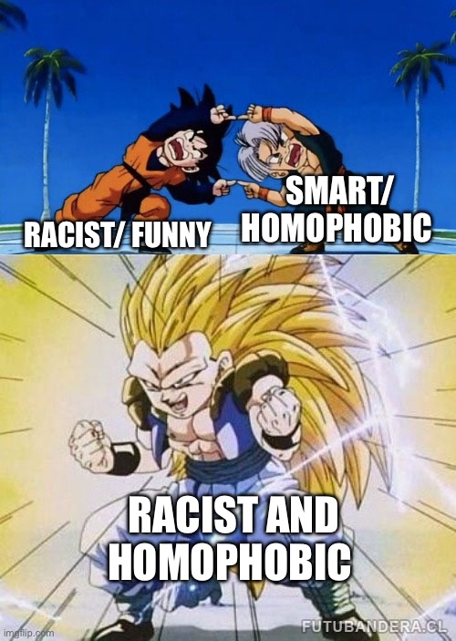 Fusion dance but better | SMART/ HOMOPHOBIC; RACIST/ FUNNY; RACIST AND HOMOPHOBIC | image tagged in dbz fusion,racist,homophobic,dark humor | made w/ Imgflip meme maker