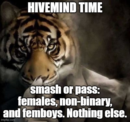 tiger smoking cigar | HIVEMIND TIME; smash or pass: females, non-binary, and femboys. Nothing else. | image tagged in tiger smoking cigar | made w/ Imgflip meme maker