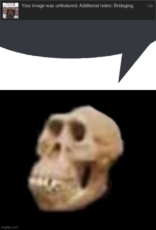 image tagged in discord speech bubble,idiot skull | made w/ Imgflip meme maker