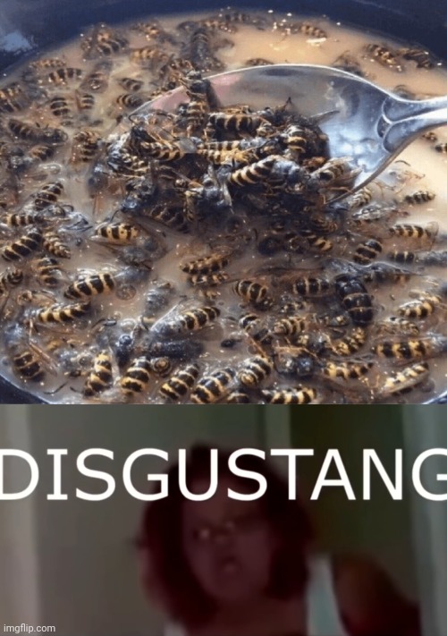 Wasp cereal | image tagged in disgustang,wasp,wasps,cereal,cursed image,memes | made w/ Imgflip meme maker