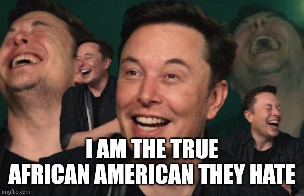 Elon Musk Laughing | I AM THE TRUE AFRICAN AMERICAN THEY HATE | image tagged in elon musk laughing | made w/ Imgflip meme maker