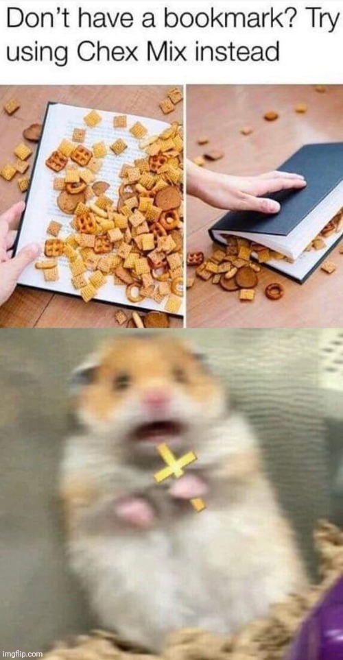 Chex Mix bookmark | image tagged in scared hamster with cross,chex mix,bookmark,cursed image,book,memes | made w/ Imgflip meme maker