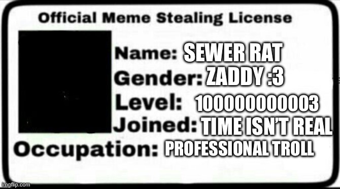 Meme Stealing License | SEWER RAT; ZADDY :3; 100000000003; TIME ISN’T REAL; PROFESSIONAL TROLL | image tagged in meme stealing license | made w/ Imgflip meme maker