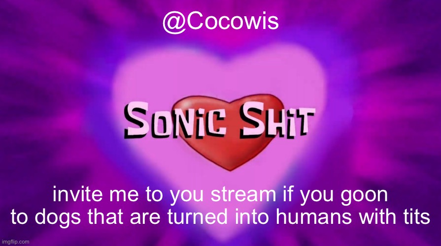 Sonic Shit | @Cocowis; invite me to you stream if you goon to dogs that are turned into humans with tits | image tagged in sonic shit | made w/ Imgflip meme maker