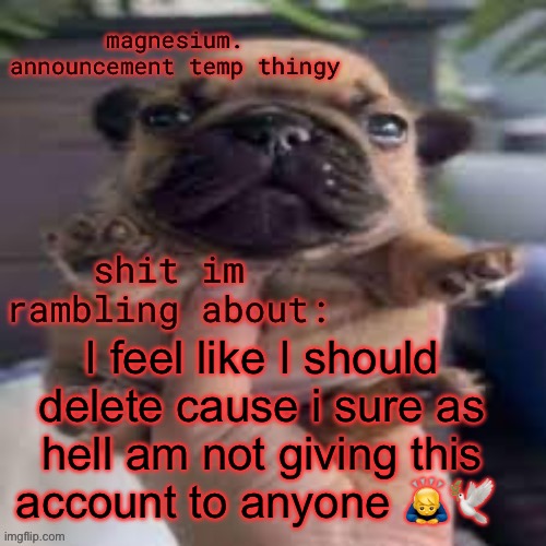 pug temp | I feel like I should delete cause i sure as hell am not giving this account to anyone 🙇‍♂️🕊️ | image tagged in pug temp | made w/ Imgflip meme maker