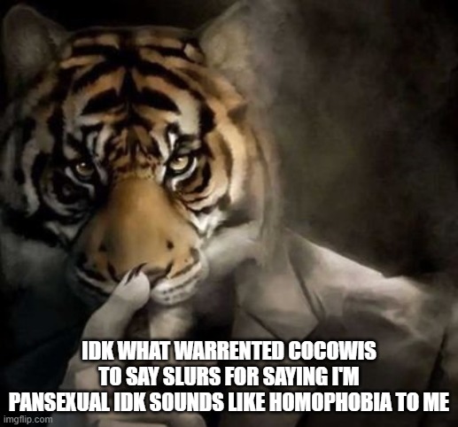 tiger smoking cigar | IDK WHAT WARRENTED COCOWIS TO SAY SLURS FOR SAYING I'M PANSEXUAL IDK SOUNDS LIKE HOMOPHOBIA TO ME | image tagged in tiger smoking cigar | made w/ Imgflip meme maker