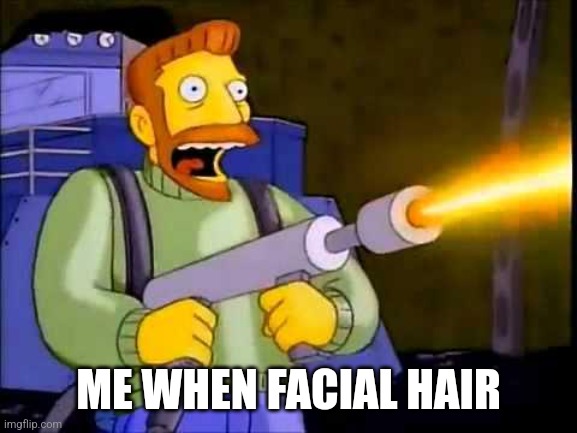 Kill it with fire | ME WHEN FACIAL HAIR | image tagged in kill it with fire | made w/ Imgflip meme maker