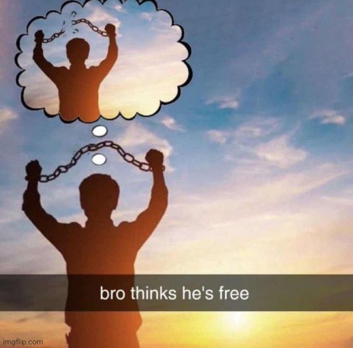 Bro thinks hes free | image tagged in bro thinks hes free | made w/ Imgflip meme maker