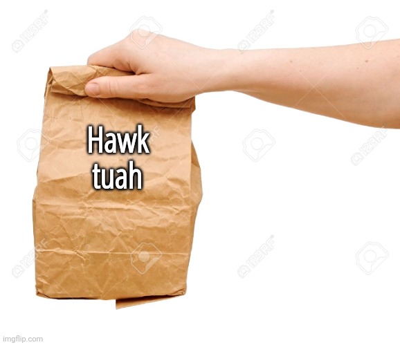 paper bag | Hawk tuah | image tagged in paper bag | made w/ Imgflip meme maker