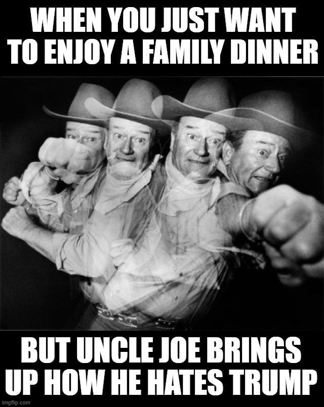 When relatives have TDS | WHEN YOU JUST WANT TO ENJOY A FAMILY DINNER; BUT UNCLE JOE BRINGS UP HOW HE HATES TRUMP | image tagged in punch | made w/ Imgflip meme maker