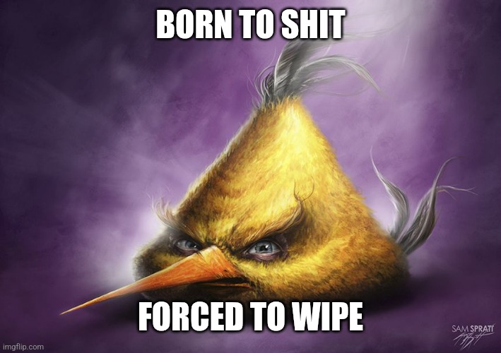 Realistic yellow angry bird | BORN TO SHIT; FORCED TO WIPE | image tagged in realistic yellow angry bird | made w/ Imgflip meme maker