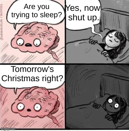 Tomorrow: *Christmas* My honest reaction: | Yes, now
 shut up. Are you trying to sleep? Tomorrow's Christmas right? | image tagged in trying to sleep | made w/ Imgflip meme maker