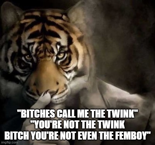 tiger smoking cigar | "BITCHES CALL ME THE TWINK"
"YOU'RE NOT THE TWINK BITCH YOU'RE NOT EVEN THE FEMBOY" | image tagged in tiger smoking cigar | made w/ Imgflip meme maker