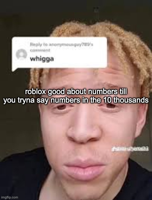 "thirteen thousand two hundred and fifty for level fifty four" "hate this sm" | roblox good about numbers till you tryna say numbers in the 10 thousands | image tagged in whigga | made w/ Imgflip meme maker