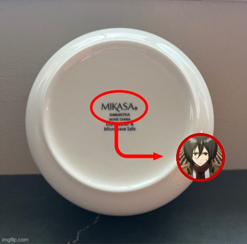 The bottom of a bowl I have at my house | image tagged in attack on titan,mikasa | made w/ Imgflip meme maker