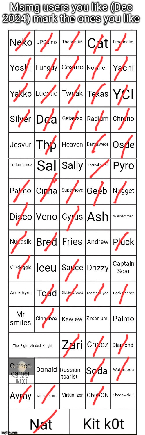 FINALLY THEY MADE THIS BINGO GOOD (also palmo is on here twice) | image tagged in msmg users you like december 2024 | made w/ Imgflip meme maker