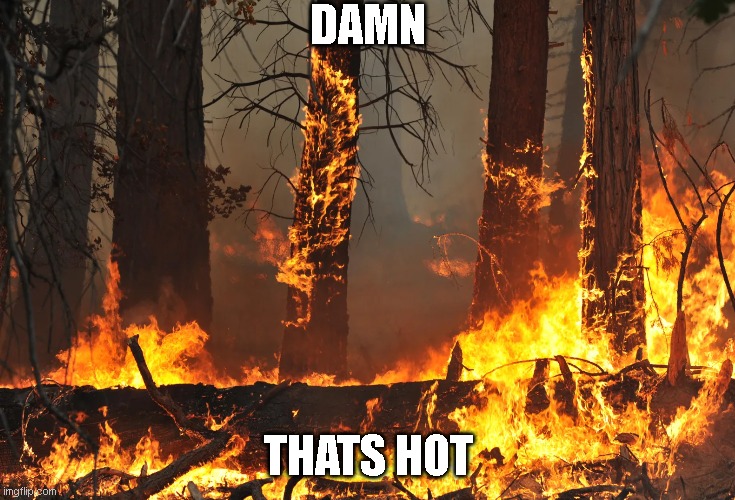 Damn | DAMN; THATS HOT | image tagged in fire | made w/ Imgflip meme maker