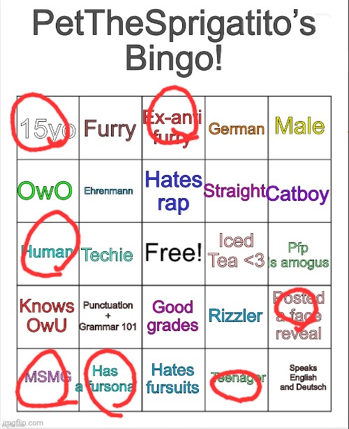 PetTheSprigatito’s bingo! | image tagged in petthesprigatito s bingo | made w/ Imgflip meme maker