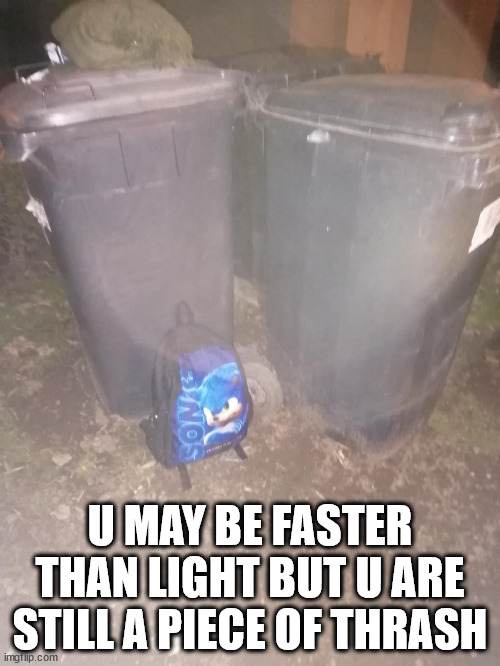 Sonic Thrash | U MAY BE FASTER THAN LIGHT BUT U ARE STILL A PIECE OF THRASH | image tagged in sonic,dank,meme | made w/ Imgflip meme maker