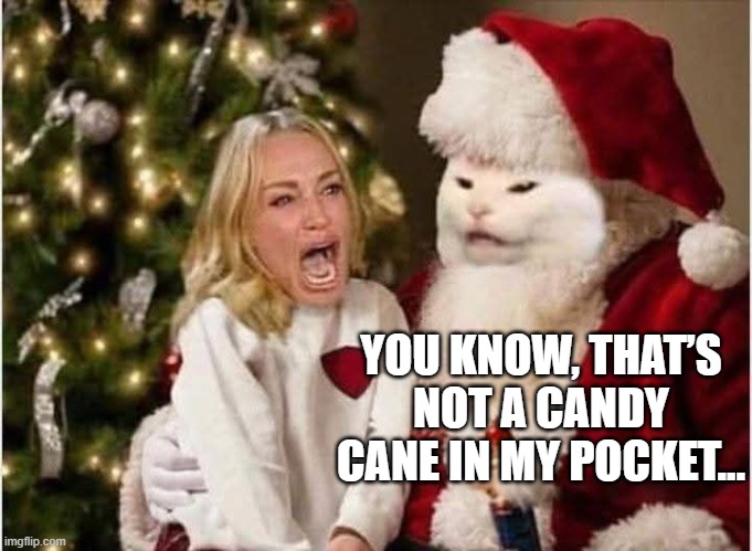 Santa Smudge | YOU KNOW, THAT’S NOT A CANDY CANE IN MY POCKET... | image tagged in smudge the cat | made w/ Imgflip meme maker