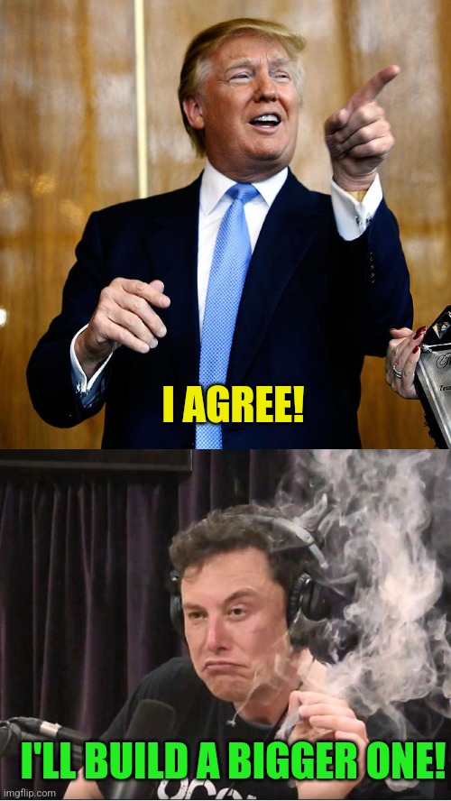 I AGREE! I'LL BUILD A BIGGER ONE! | image tagged in donal trump birthday,elon musk smoking a joint | made w/ Imgflip meme maker