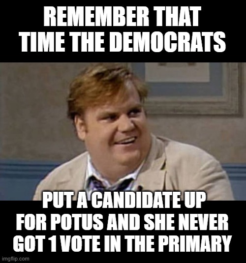 Chris Farley Awesome | REMEMBER THAT TIME THE DEMOCRATS PUT A CANDIDATE UP FOR POTUS AND SHE NEVER GOT 1 VOTE IN THE PRIMARY | image tagged in chris farley awesome | made w/ Imgflip meme maker