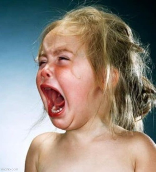 Little girl crying  | image tagged in little girl crying | made w/ Imgflip meme maker