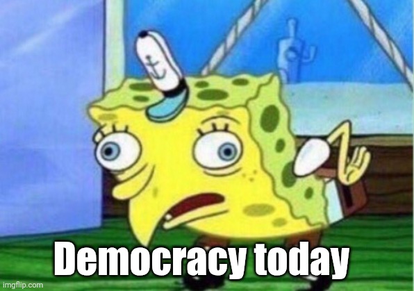 Mocking Spongebob | Democracy today | image tagged in memes,mocking spongebob,democracy,elon musk | made w/ Imgflip meme maker