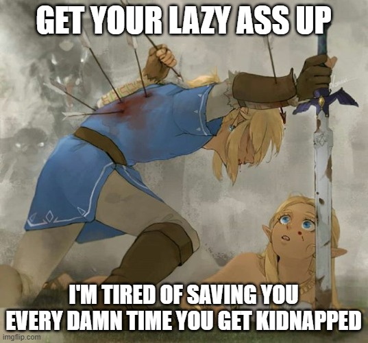 link has had enough | GET YOUR LAZY ASS UP; I'M TIRED OF SAVING YOU EVERY DAMN TIME YOU GET KIDNAPPED | image tagged in link and zelda,memes | made w/ Imgflip meme maker