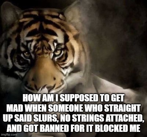 tiger smoking cigar | HOW AM I SUPPOSED TO GET MAD WHEN SOMEONE WHO STRAIGHT UP SAID SLURS, NO STRINGS ATTACHED, AND GOT BANNED FOR IT BLOCKED ME | image tagged in tiger smoking cigar | made w/ Imgflip meme maker