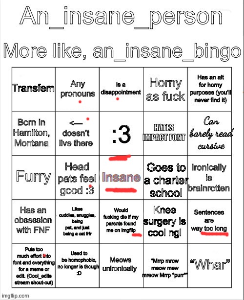 image tagged in an_insane_bingo december 2024 | made w/ Imgflip meme maker
