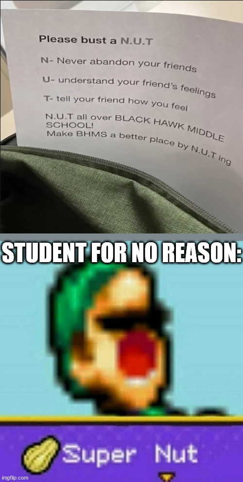 excuse me?! | STUDENT FOR NO REASON: | image tagged in luigi super nut | made w/ Imgflip meme maker