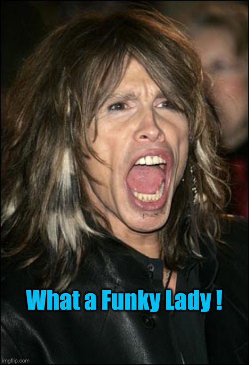 Steven Tyler | What a Funky Lady ! | image tagged in steven tyler | made w/ Imgflip meme maker