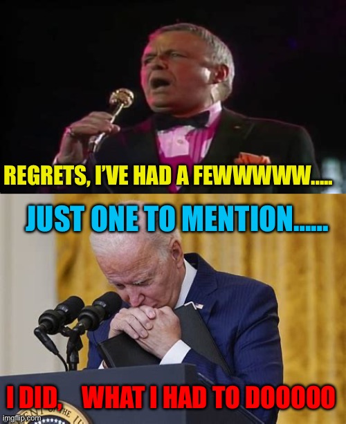 Regrets, I’ve had a few….. | REGRETS, I’VE HAD A FEWWWWW….. JUST ONE TO MENTION……; I DID,    WHAT I HAD TO DOOOOO | image tagged in crying,biden,democrats,regrets,pardon,presidential race | made w/ Imgflip meme maker