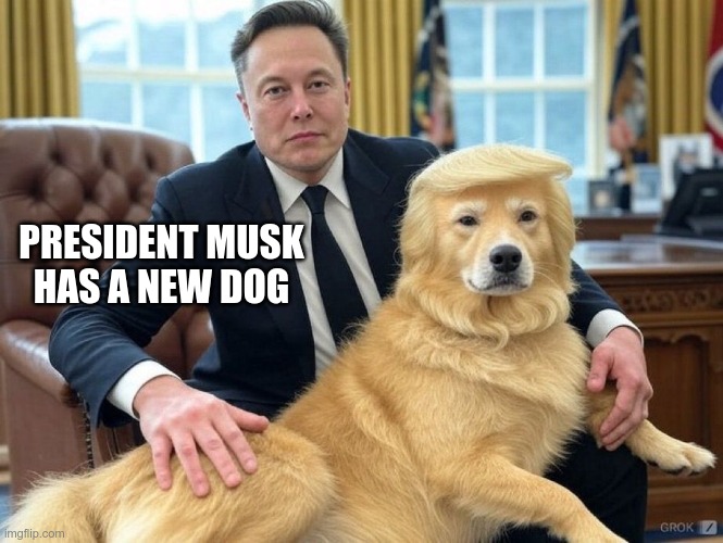 The President's dog | PRESIDENT MUSK HAS A NEW DOG | image tagged in musk,trump,gop,maga,fascists,project 2025 | made w/ Imgflip meme maker