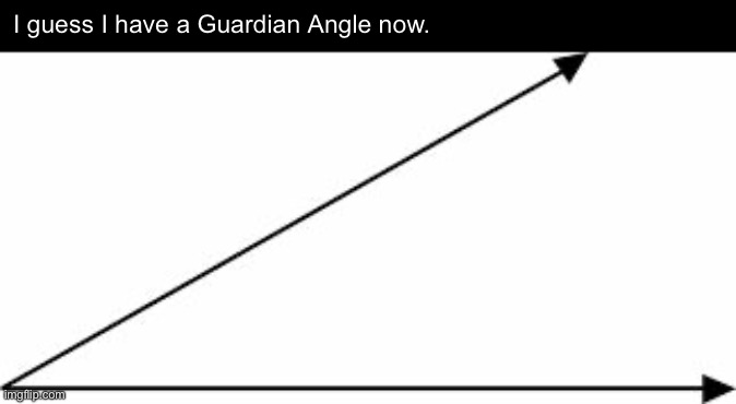 guardian angle | I guess I have a Guardian Angle now. | image tagged in acute angle,guardian angel,math,typo | made w/ Imgflip meme maker