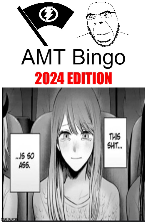 Like seriously, did a 4Chan troll make this chart? | image tagged in amt bingo 2024 edition | made w/ Imgflip meme maker