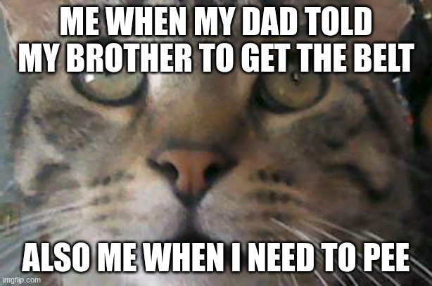 Scardy Kitten | ME WHEN MY DAD TOLD MY BROTHER TO GET THE BELT; ALSO ME WHEN I NEED TO PEE | image tagged in scardy kitten | made w/ Imgflip meme maker