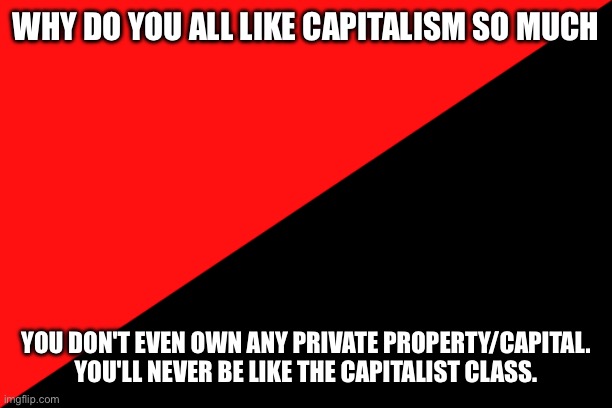 Ancom flag | WHY DO YOU ALL LIKE CAPITALISM SO MUCH; YOU DON'T EVEN OWN ANY PRIVATE PROPERTY/CAPITAL. YOU'LL NEVER BE LIKE THE CAPITALIST CLASS. | image tagged in ancom flag | made w/ Imgflip meme maker