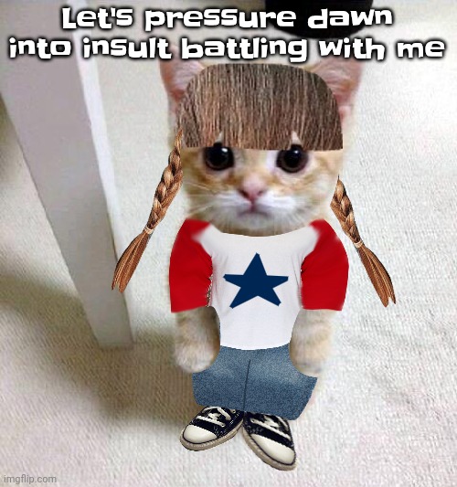 Nyami | Let's pressure dawn into insult battling with me | image tagged in nyami | made w/ Imgflip meme maker