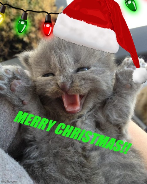 Yay Kitty | MERRY CHRISTMAS!! | image tagged in yay kitty | made w/ Imgflip meme maker